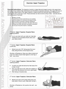 Upper Trapezius Stretches - Human Movement