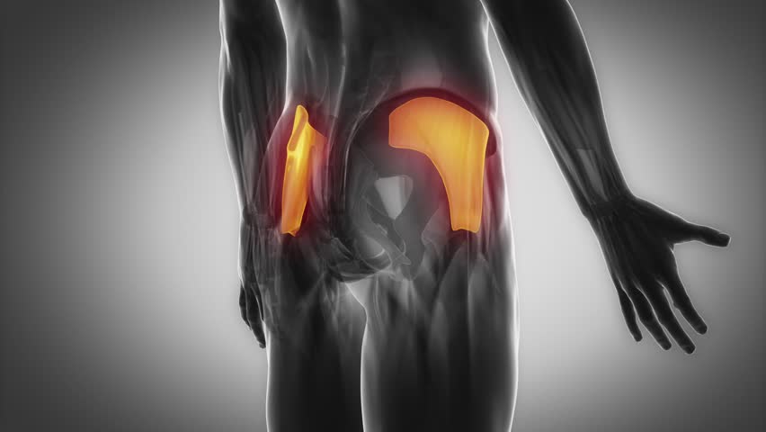 best exercise to activate your gluteus medius muscle